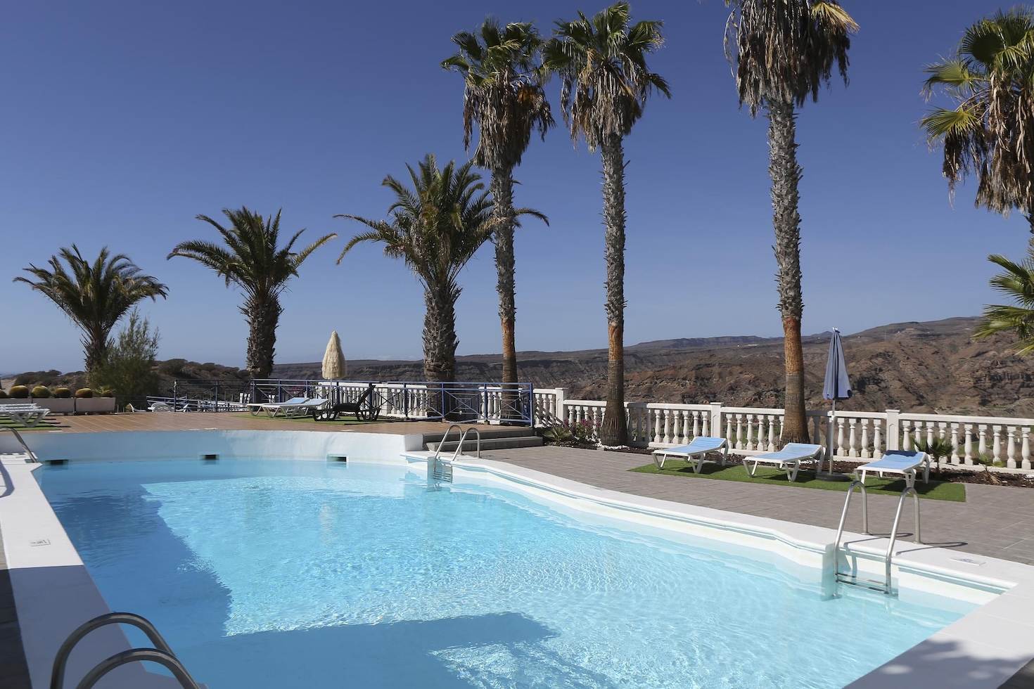 Swimming pool surrounded by palm trees at the V&V Amadores complex