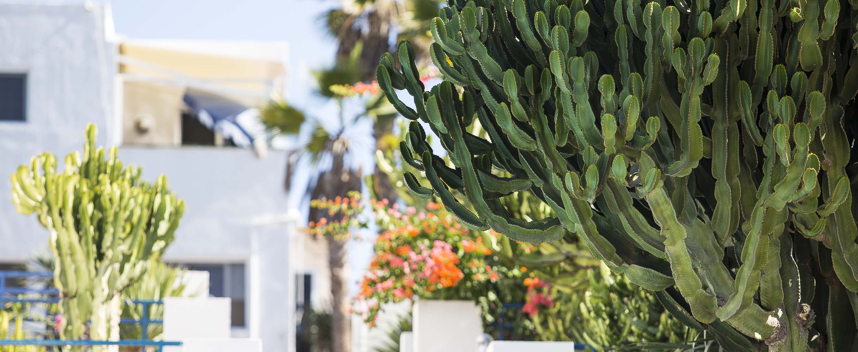 View from the V&V Amadores apartment across the Gran Canaria landscape